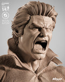 Banshee Portrait Bust resin bust kit view 2