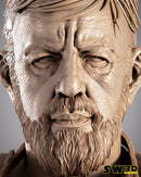 SW3D July 2025 Term Old Ben Kenobi Portrait Bust