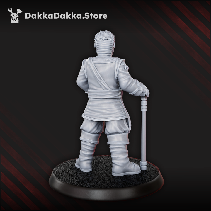 Airforce Marshal - DakkaDakka Resin Miniature - image 2