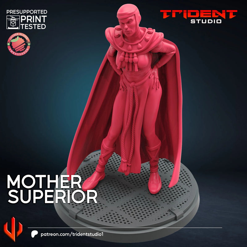 Mother Superior Marvel MCP-compatible 40mm resin proxy miniature by Trident Miniatures - product image 2