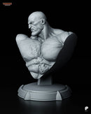 Sagat Resin Statue & Bust - Bust view 2
