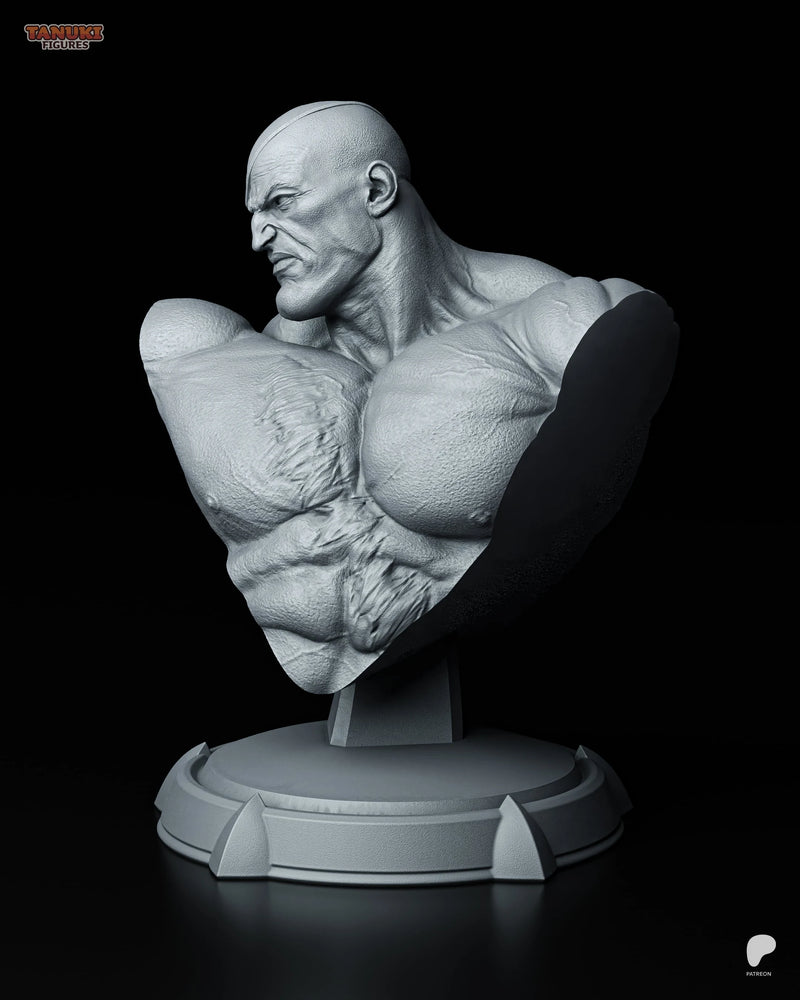Sagat Resin Statue & Bust - Bust view 2
