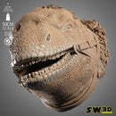 Dewback Wall