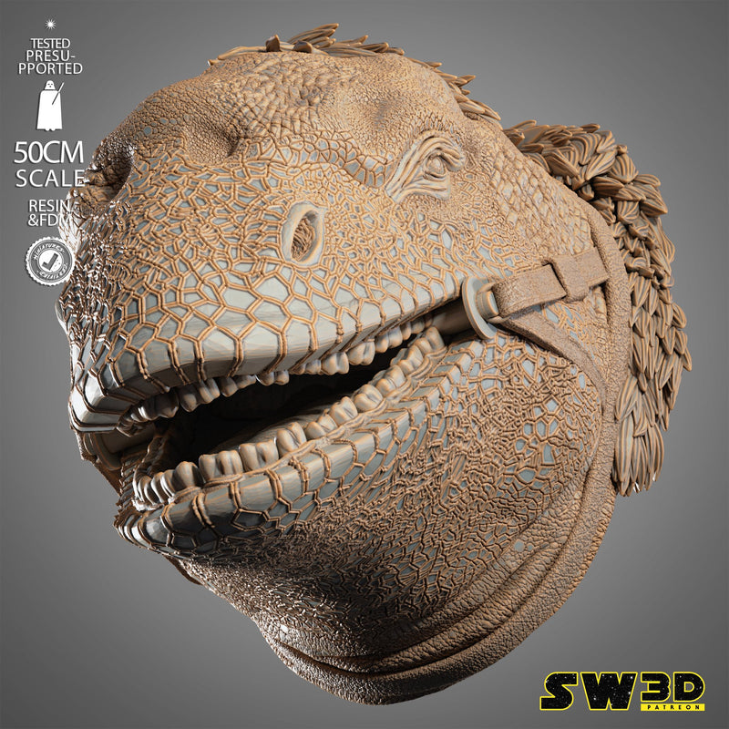 Dewback Wall