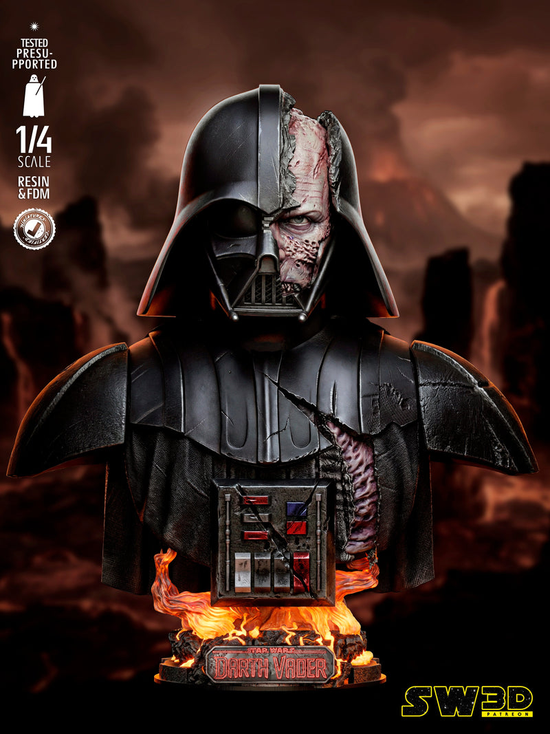 SW3D January 2026 Term Darth Vader Battle Damage Portrait Bust