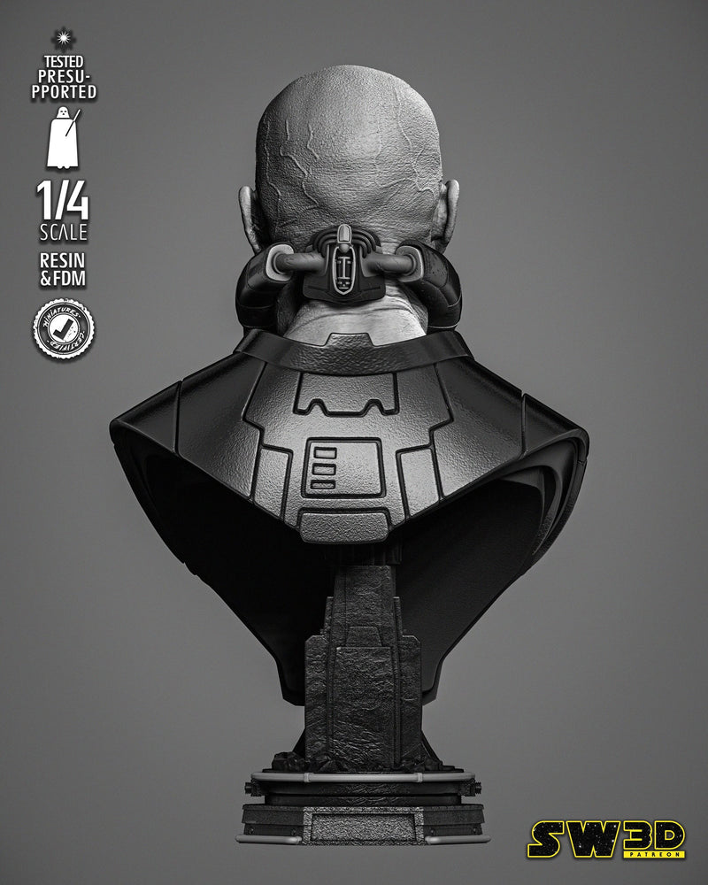 Darth Malgus Portrait Bust