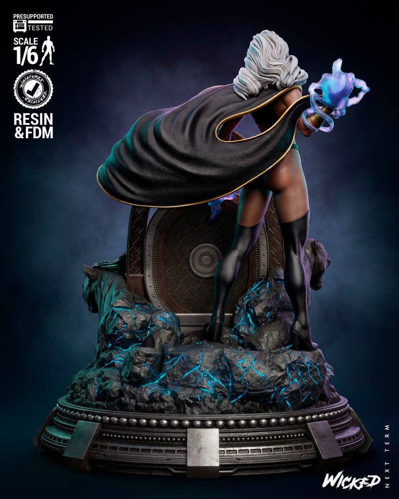 Black Panther and Storm Diorama resin diorama kit view 2