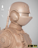 SW3D August 2025 Term Jin Erso Portrait Bust