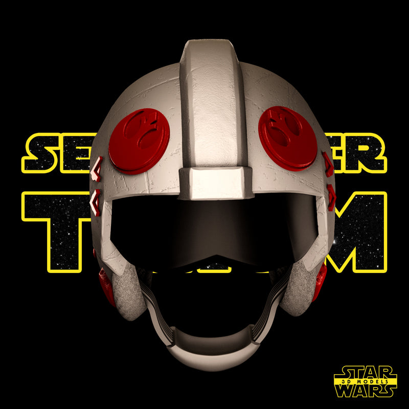 Luke and Leia Helmet