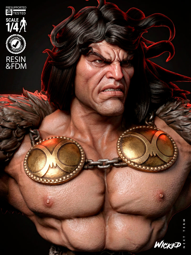 Conan The Barbarian Portrait Bust resin bust kit view 3