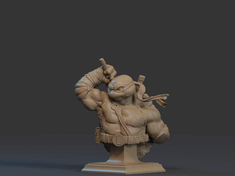 Leonardo Bust - 1/9 Scale