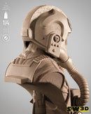 SW3D August 2025 Term Elite Tie Fighter Portrait Bust
