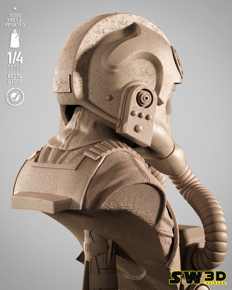 SW3D August 2025 Term Elite Tie Fighter Portrait Bust