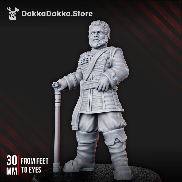 Airforce Marshal - DakkaDakka Resin Miniature - image 3