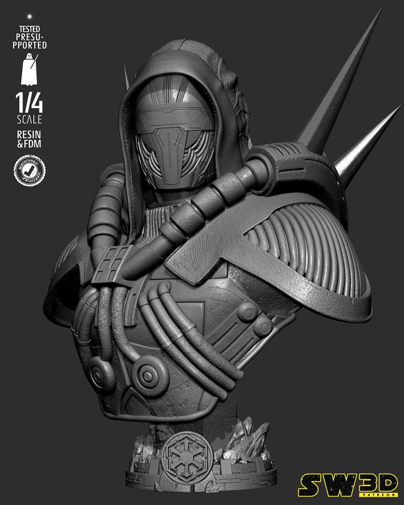 SW3D August 2025 Term Darth Marr Portrait Bust