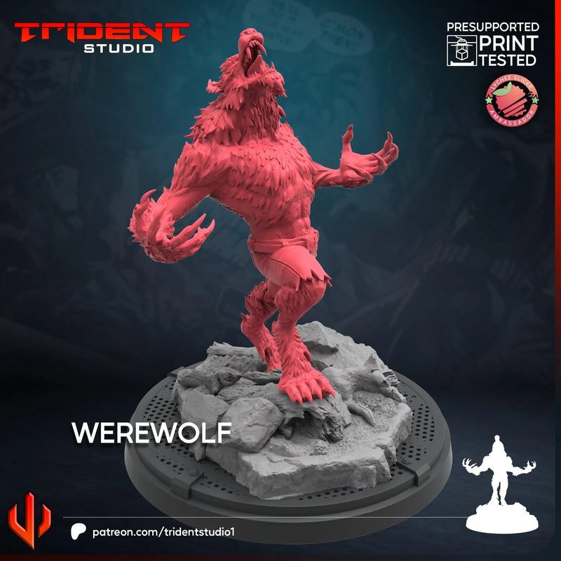 Werewolf Marvel MCP-compatible 40mm resin proxy miniature by Trident Miniatures - product image 3