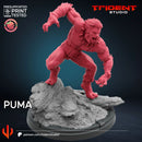 Puma Marvel MCP-compatible 40mm resin proxy miniature by Trident Miniatures - product image 3