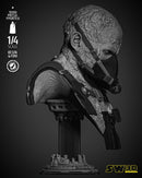 Darth Vader in the Bacta Tank Portrait Bust