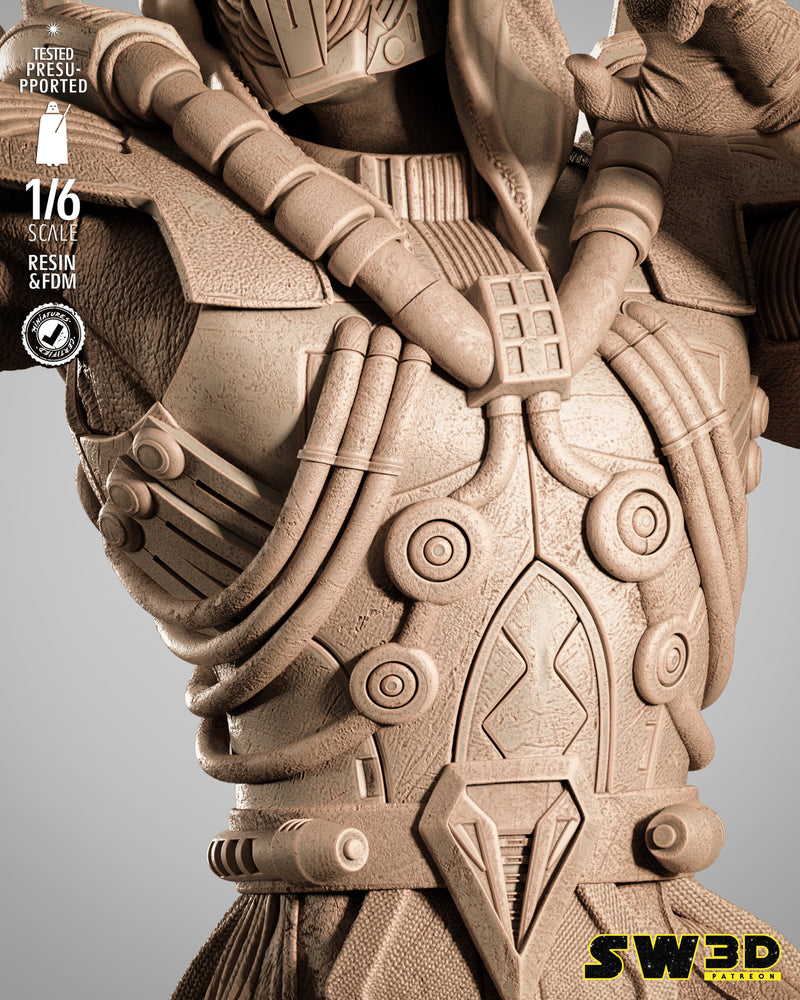 SW3D August 2025 Term Darth Marr Sculpture
