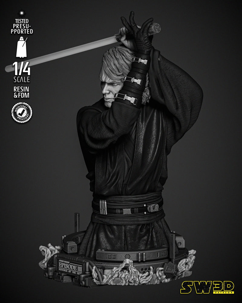 Anakin 2024 Bust