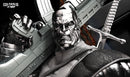 Colossus Bust resin bust kit view 3