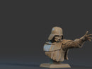 Darth Vader Bust - 1/9 Scale
