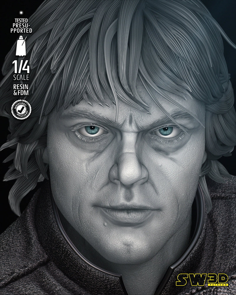 Luke Return of Jedi Bust