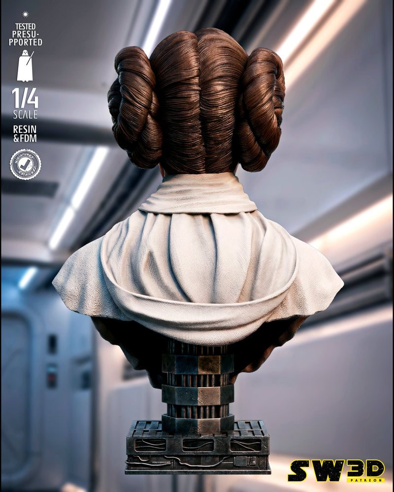 SW3D December 2025 Term Leia Organa Portrait Bust