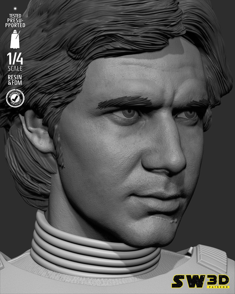 SW3D November 2025 Term Han Solo Stormtrooper Portrait Bust