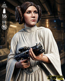 SW3D December 2025 Term Leia Organa Sculpture