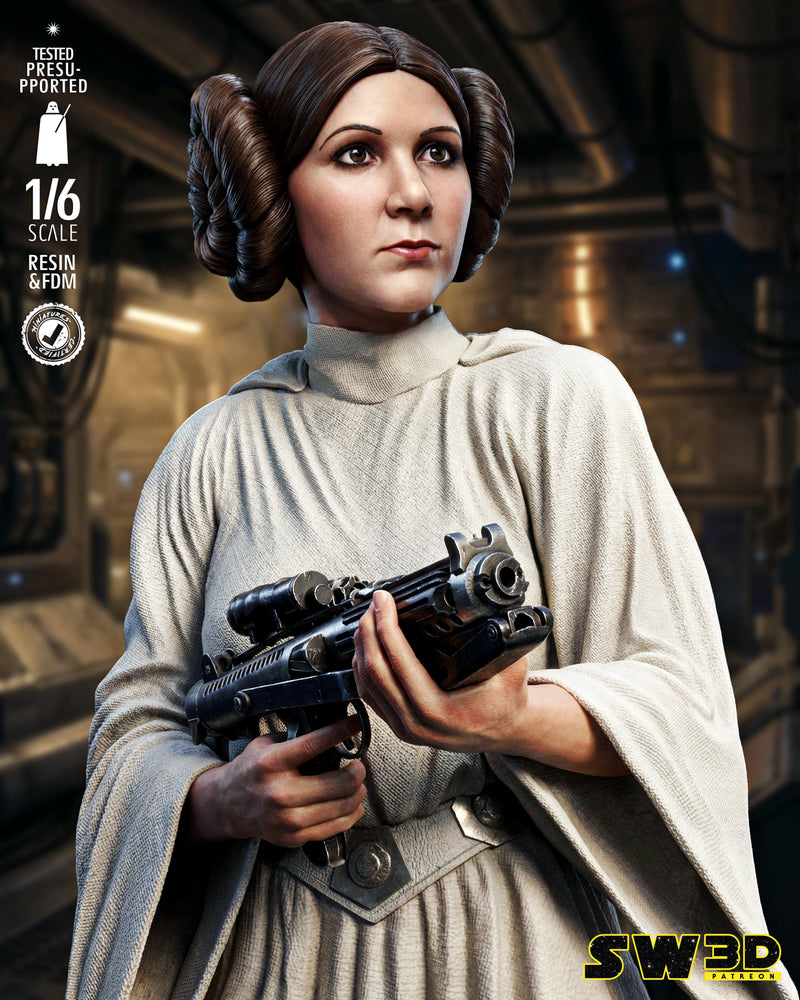 SW3D December 2025 Term Leia Organa Sculpture