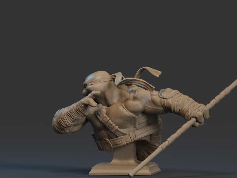 Donatello Bust - 1/9 Scale