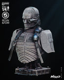 Andrew Scott Portrait Bust resin bust kit view 3