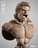 Banshee Portrait Bust resin bust kit view 3