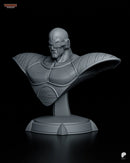Nappa Resin Statue & Bust - Bust view 3