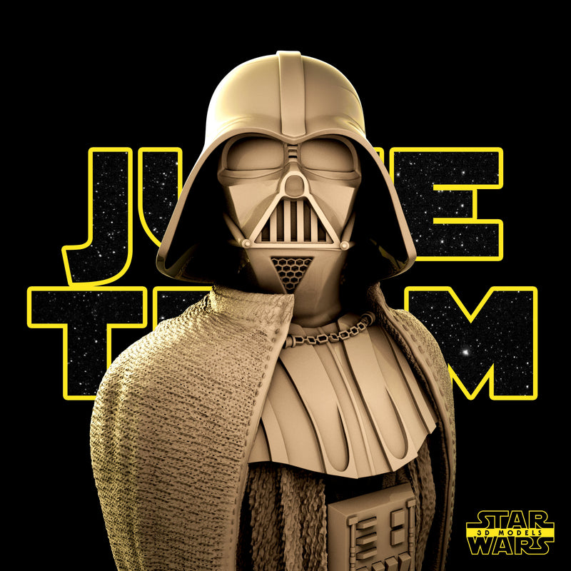 Darth Vader Bust
