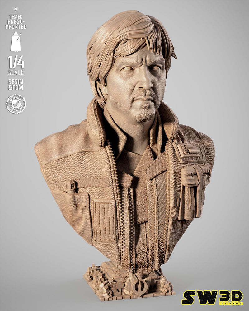 SW3D September 2025 Term Cassian Andor Portrait Bust