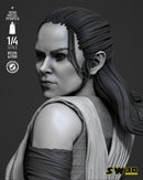 Rey Bust