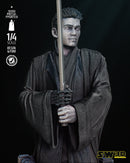 Young Anakin Bust