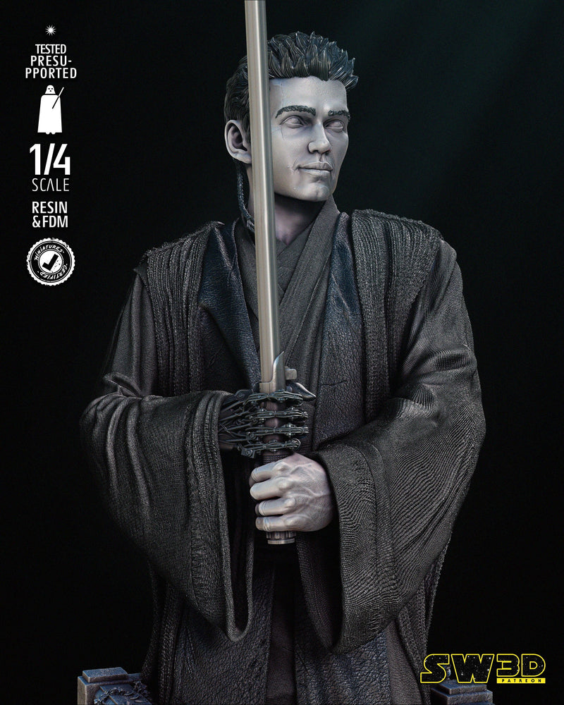 Young Anakin Bust