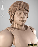 SW3D October 2025 Term Luke Stormtrooper Portrait Bust
