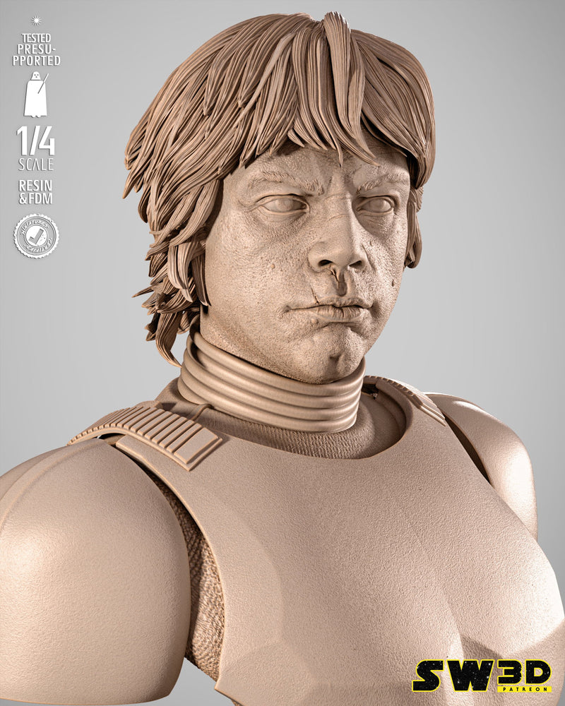 SW3D October 2025 Term Luke Stormtrooper Portrait Bust