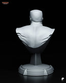 Colossus Resin Statue & Bust - Bust view 4