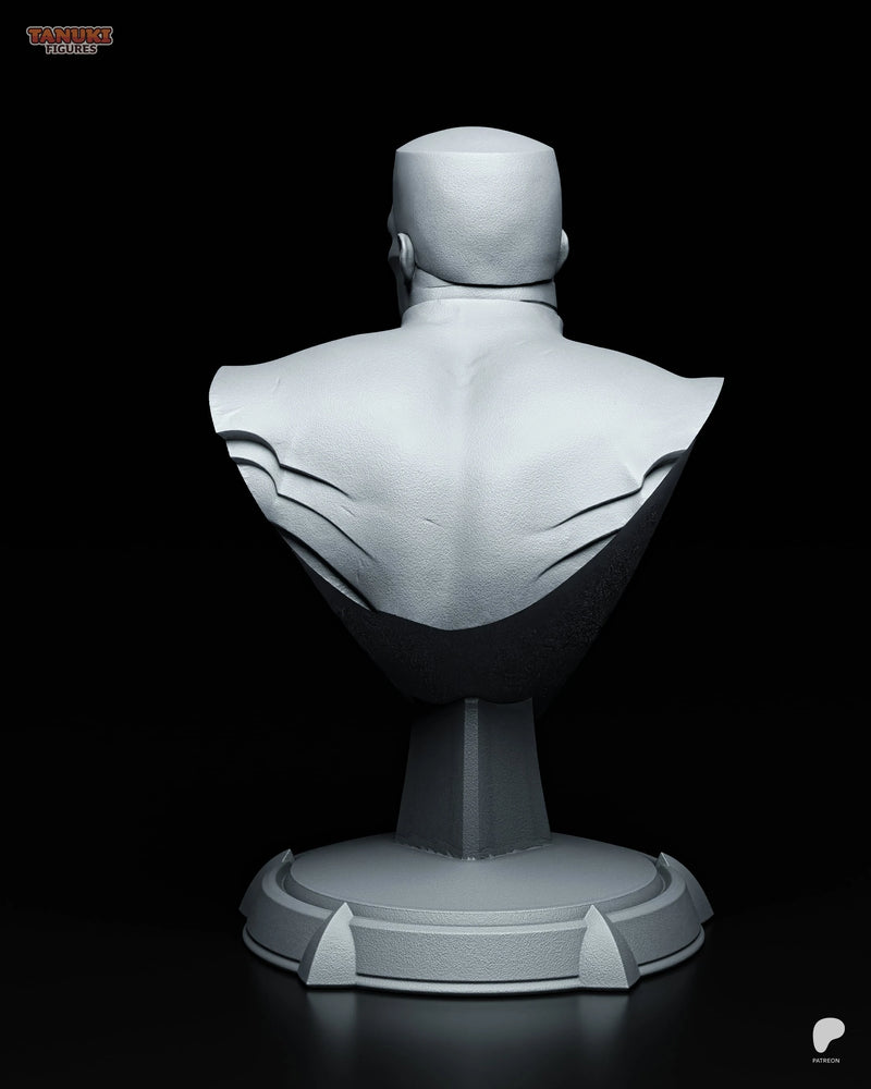 Colossus Resin Statue & Bust - Bust view 4