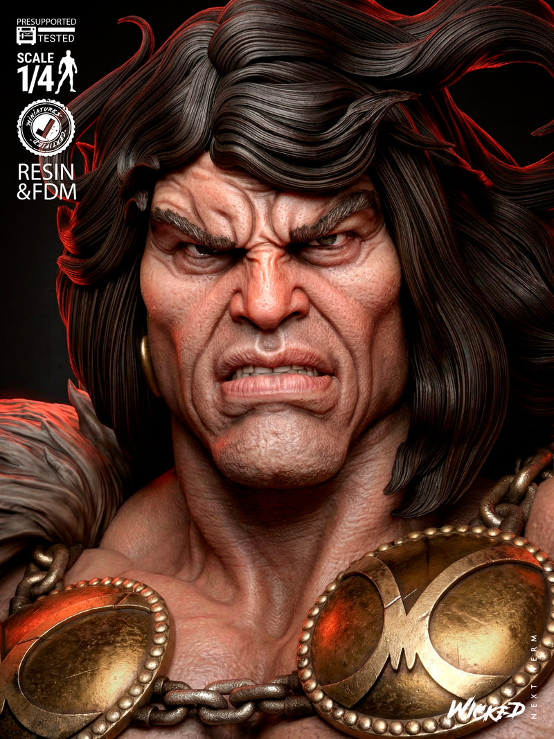 Conan The Barbarian Portrait Bust resin bust kit view 4