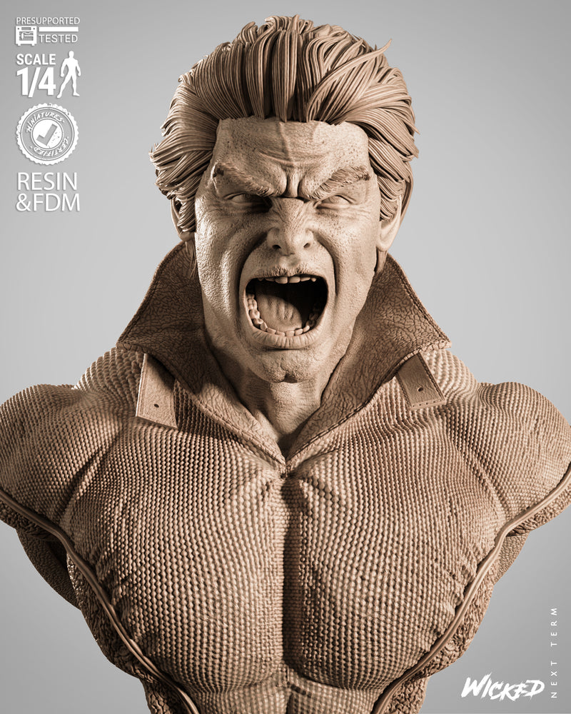 Banshee Portrait Bust resin bust kit view 4