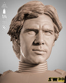SW3D November 2025 Term Han Solo Stormtrooper Portrait Bust