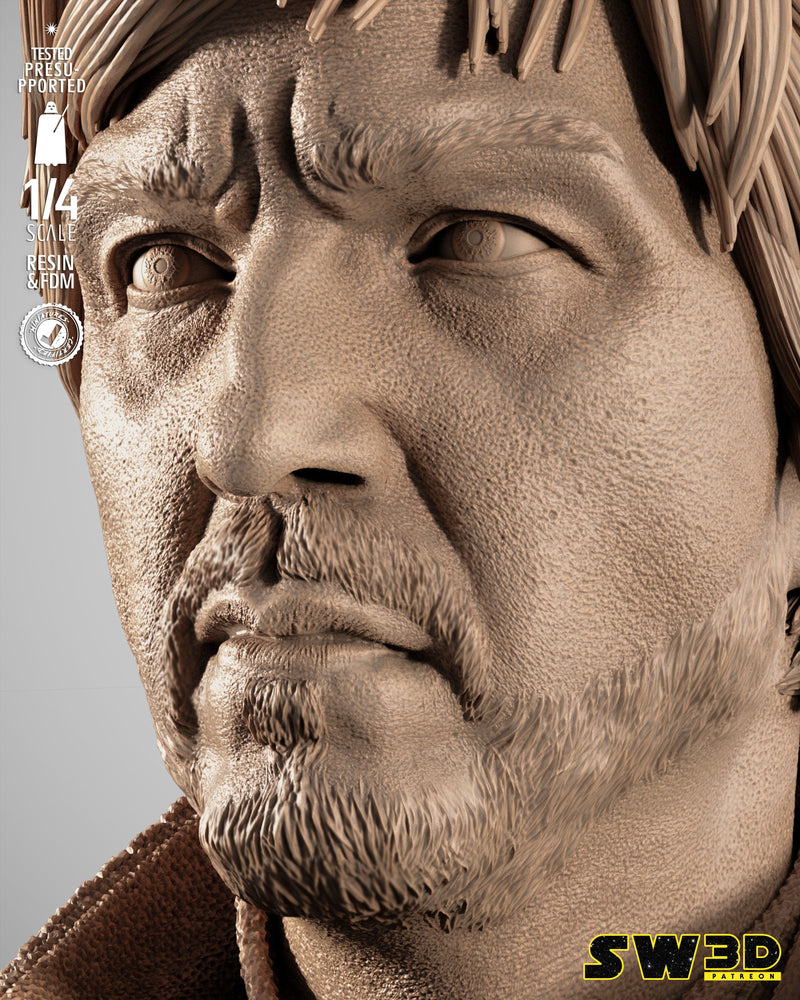 SW3D September 2025 Term Cassian Andor Portrait Bust