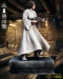 SW3D December 2025 Term Leia Organa Sculpture