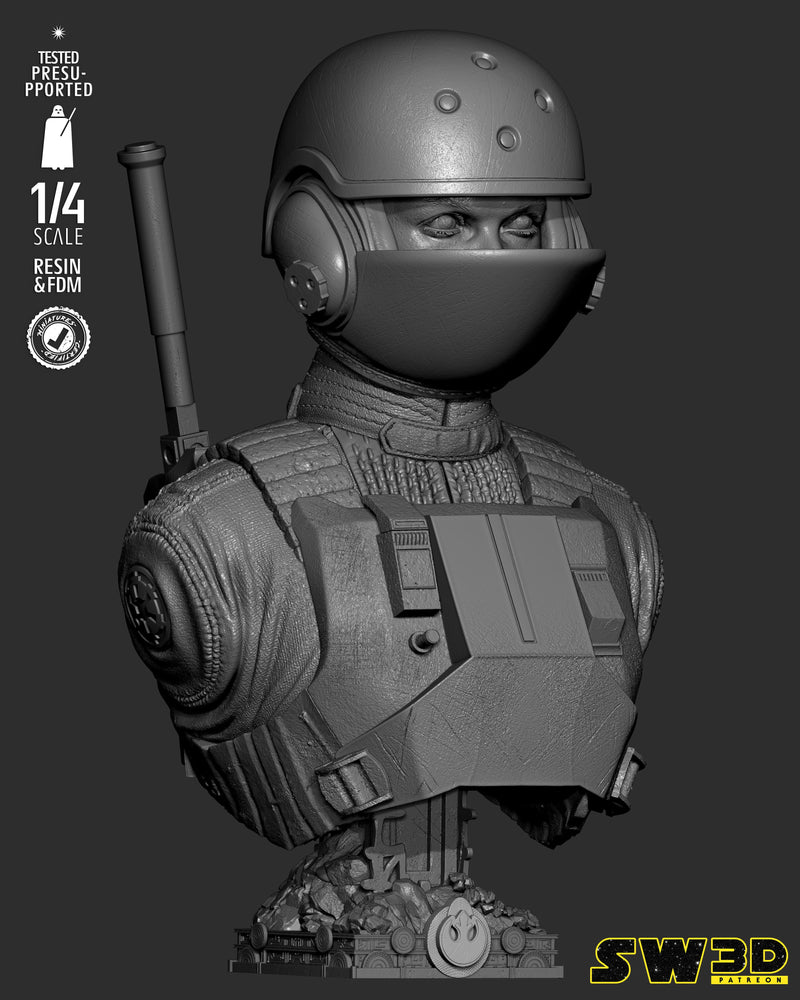 SW3D August 2025 Term Jin Erso Portrait Bust